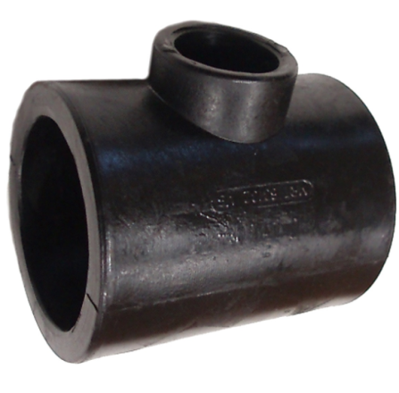 Kp80